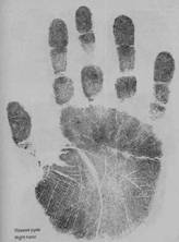 Правая рука