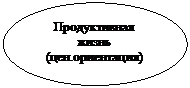 Овал: Продуктивная жизнь
(цен.ориентация)
