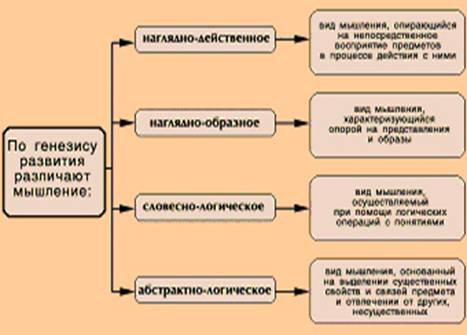 Схема классификации видов мышления по генезису развития