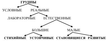 Безымянный