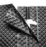 Геомембрана