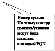 Прямоугольная выноска: Номер правил
По этому номеру правила/условия могут быть вызваны командой FQN 
