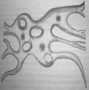 Теория суперструн