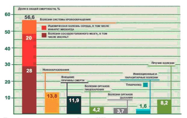 Рис.2 Причины смертности в России, 2007г.