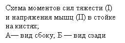 Подпись: Схема моментов сил тяжести (I)
и напряжения мышц (II) в стойке
на кистях;
А— вид сбоку; Б — вид сзади