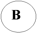 Овал:  В
 
