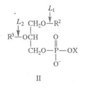 Описание: Безымянный.png