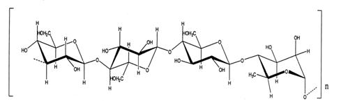 безымянный000ty
