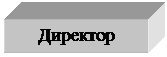 Подпись: Директор