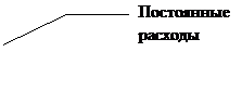 Выноска 3 (без границы): Постоянные расходы